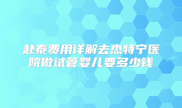 赴泰费用详解去杰特宁医院做试管婴儿要多少钱