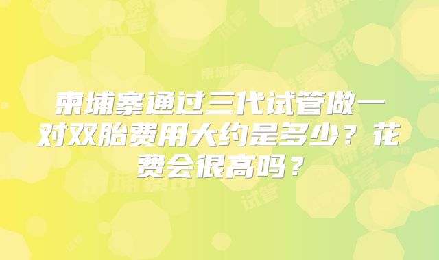 柬埔寨通过三代试管做一对双胎费用大约是多少？花费会很高吗？