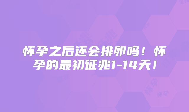 怀孕之后还会排卵吗!怀孕的最初征兆1-14天!