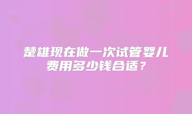 楚雄现在做一次试管婴儿费用多少钱合适？