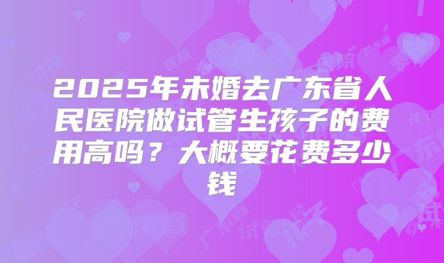 2025年未婚去广东省人民医院做试管生孩子的费用高吗？大概要花费多少钱