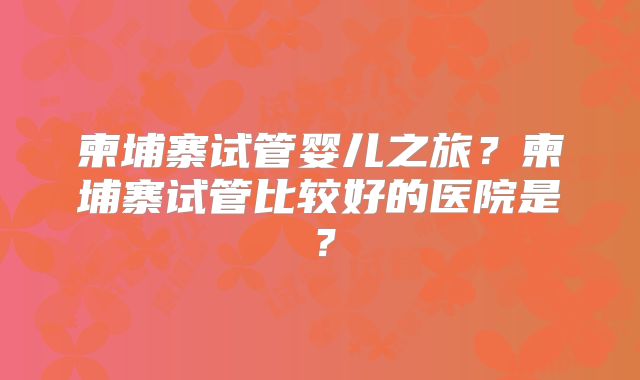 柬埔寨试管婴儿之旅？柬埔寨试管比较好的医院是？