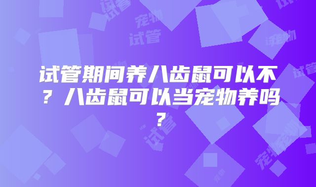 试管期间养八齿鼠可以不?八齿鼠可以当宠物养吗?