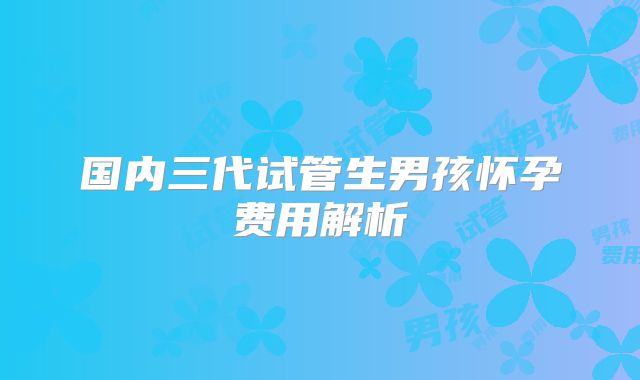 国内三代试管生男孩怀孕费用解析