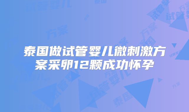 泰国做试管婴儿微刺激方案采卵12颗成功怀孕
