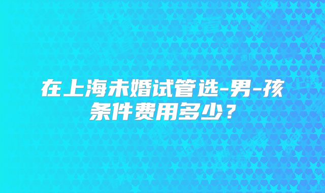 在上海未婚试管选-男-孩条件费用多少?