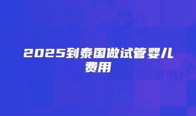 2025到泰国做试管婴儿费用