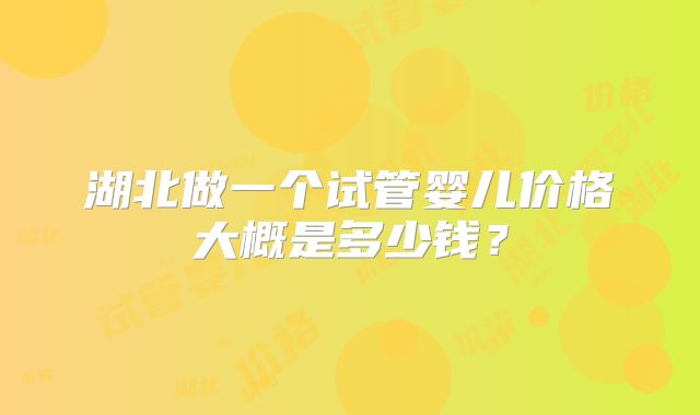 湖北做一个试管婴儿价格大概是多少钱？