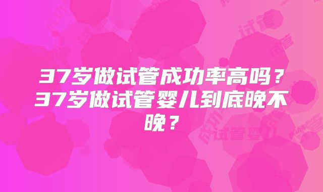 37岁做试管成功率高吗？37岁做试管婴儿到底晚不晚？