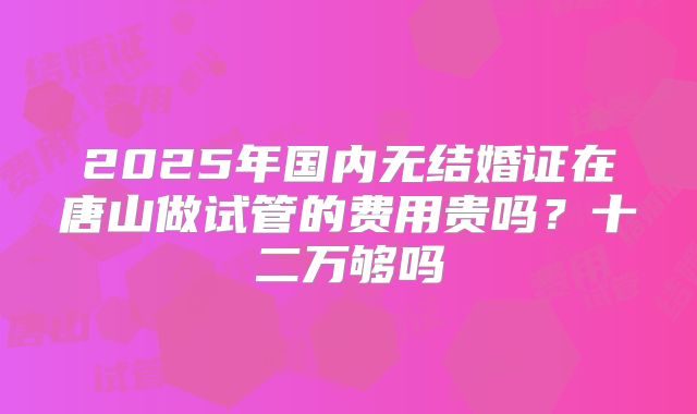 2025年国内无结婚证在唐山做试管的费用贵吗？十二万够吗