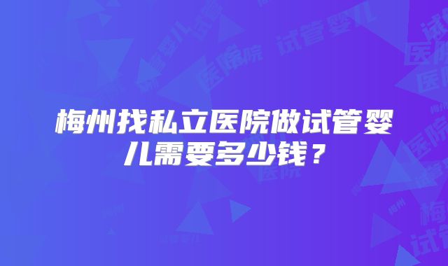 梅州找私立医院做试管婴儿需要多少钱？