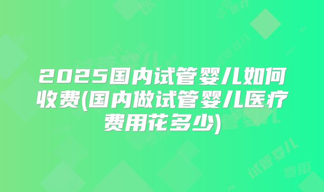 2025国内试管婴儿如何收费(国内做试管婴儿医疗费用花多少)