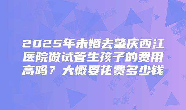 2025年未婚去肇庆西江医院做试管生孩子的费用高吗?大概要花费多少钱