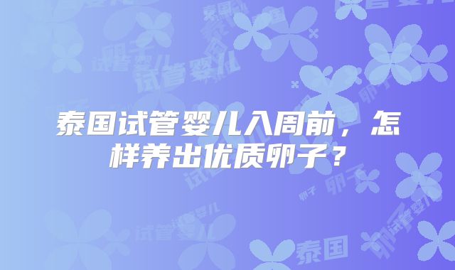 泰国试管婴儿入周前，怎样养出优质卵子？