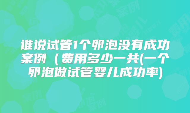 谁说试管1个卵泡没有成功案例（费用多少一共(一个卵泡做试管婴儿成功率)