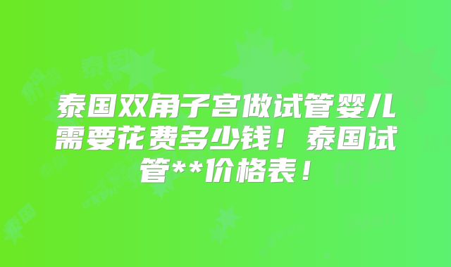 泰国双角子宫做试管婴儿需要花费多少钱!泰国试管**价格表!