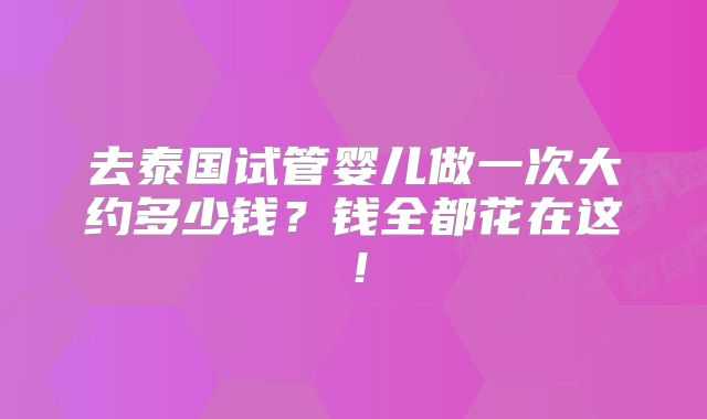 去泰国试管婴儿做一次大约多少钱？钱全都花在这！