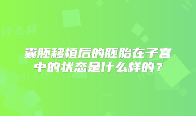囊胚移植后的胚胎在子宫中的状态是什么样的？