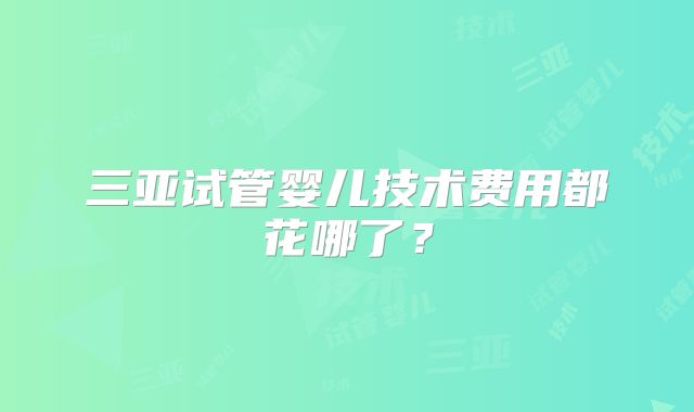 三亚试管婴儿技术费用都花哪了？
