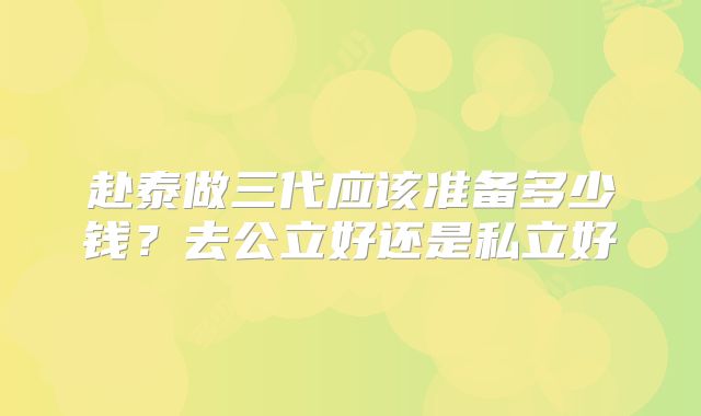 赴泰做三代应该准备多少钱？去公立好还是私立好