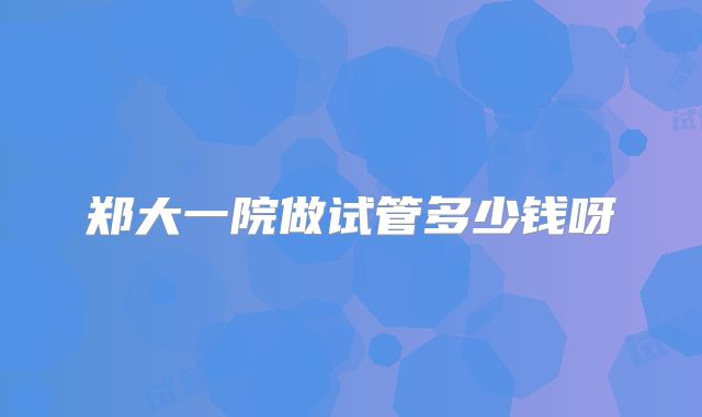 郑大一院做试管多少钱呀