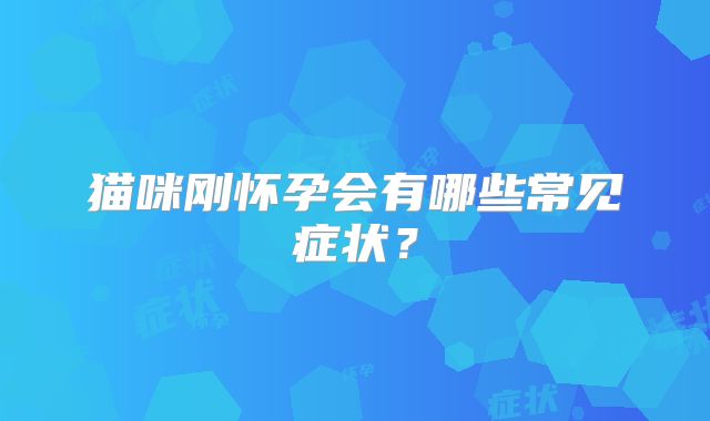 猫咪刚怀孕会有哪些常见症状？