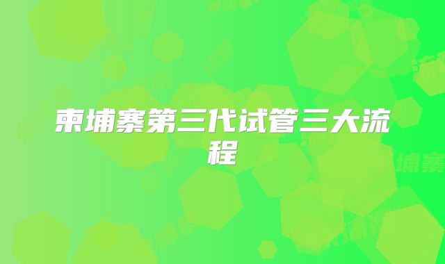 柬埔寨第三代试管三大流程