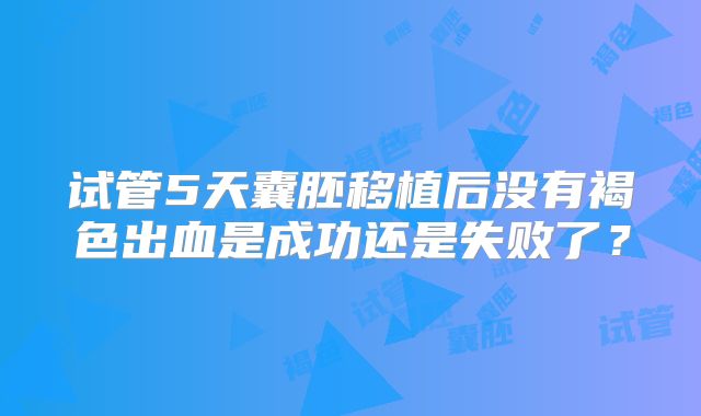 试管5天囊胚移植后没有褐色出血是成功还是失败了？