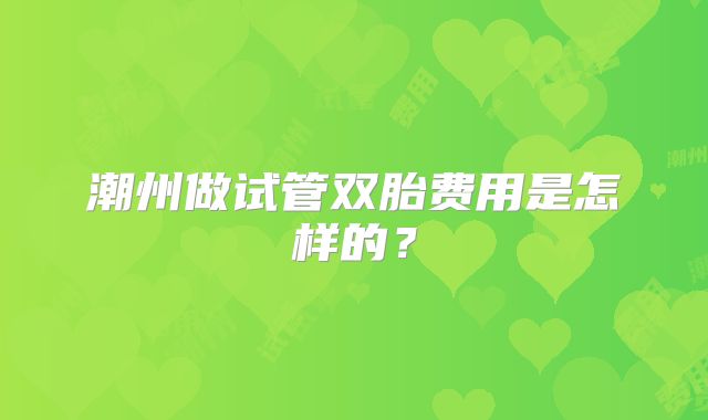 潮州做试管双胎费用是怎样的？