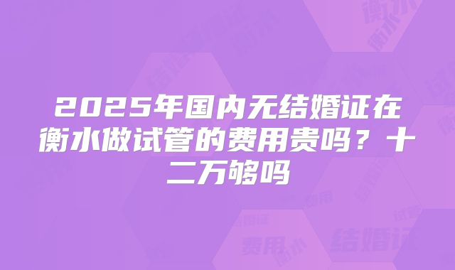 2025年国内无结婚证在衡水做试管的费用贵吗?十二万够吗