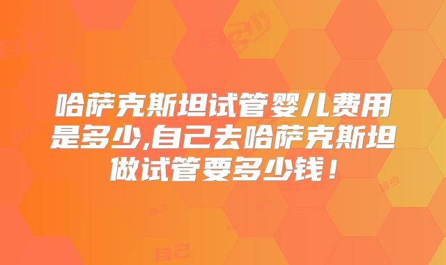 哈萨克斯坦试管婴儿费用是多少,自己去哈萨克斯坦做试管要多少钱！