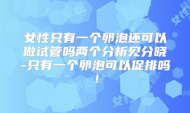 女性只有一个卵泡还可以做试管吗两个分析见分晓-只有一个卵泡可以促排吗！
