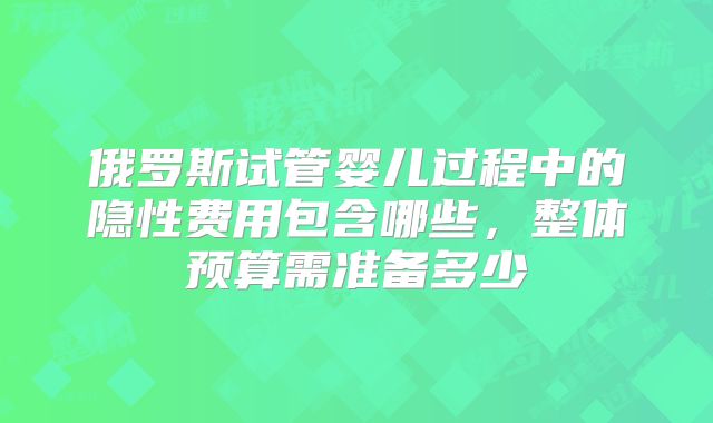 俄罗斯试管婴儿过程中的隐性费用包含哪些,整体预算需准备多少
