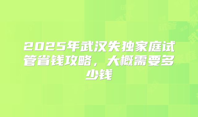 2025年武汉失独家庭试管省钱攻略，大概需要多少钱
