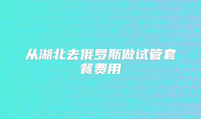 从湖北去俄罗斯做试管套餐费用