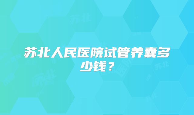 苏北人民医院试管养囊多少钱？