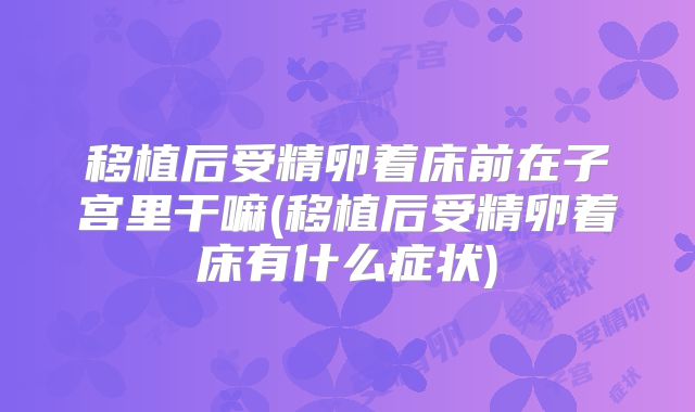 移植后受精卵着床前在子宫里干嘛(移植后受精卵着床有什么症状)