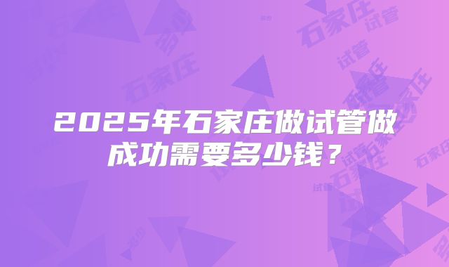 2025年石家庄做试管做成功需要多少钱？