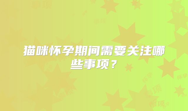 猫咪怀孕期间需要关注哪些事项？