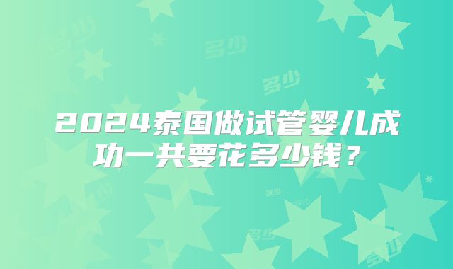 2024泰国做试管婴儿成功一共要花多少钱？