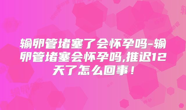 输卵管堵塞了会怀孕吗-输卵管堵塞会怀孕吗,推迟12天了怎么回事!