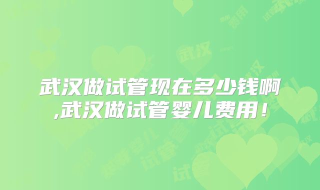 武汉做试管现在多少钱啊,武汉做试管婴儿费用!