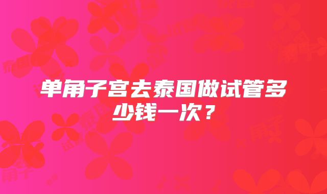 单角子宫去泰国做试管多少钱一次？