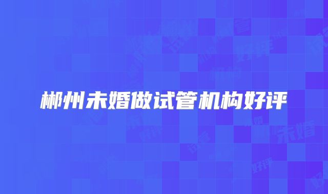 郴州未婚做试管机构好评
