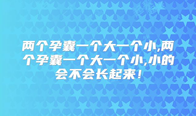 两个孕囊一个大一个小,两个孕囊一个大一个小,小的会不会长起来!