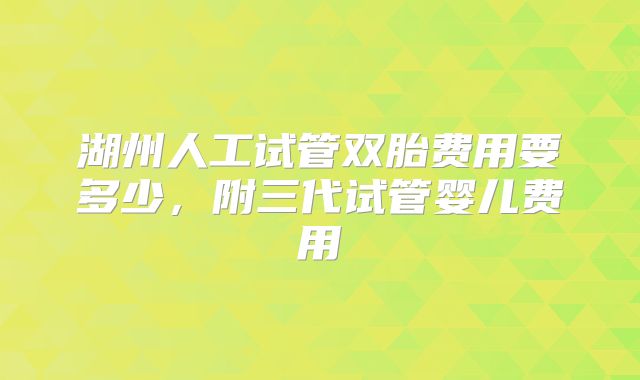 湖州人工试管双胎费用要多少，附三代试管婴儿费用