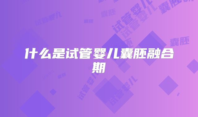 什么是试管婴儿囊胚融合期