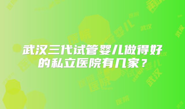 武汉三代试管婴儿做得好的私立医院有几家？