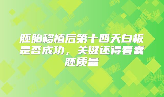胚胎移植后第十四天白板是否成功，关键还得看囊胚质量