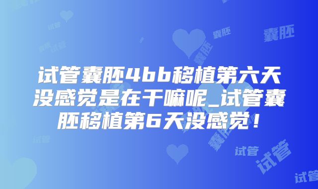 试管囊胚4bb移植第六天没感觉是在干嘛呢_试管囊胚移植第6天没感觉!